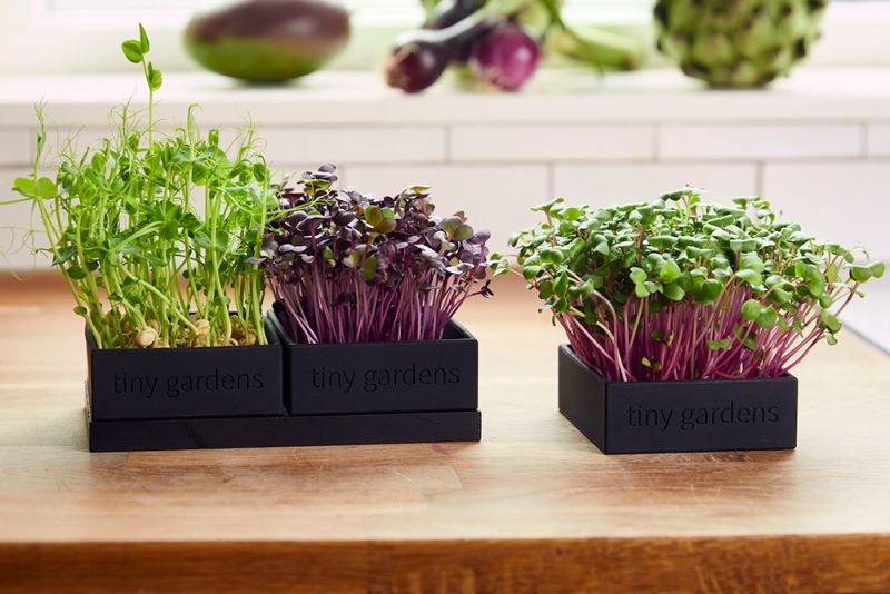 Tiny Garden designsæt med 3 bakker og hampemåtter