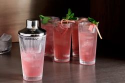 Elegant drinkssæt fra Stelton