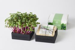 Tiny Garden designsæt med 3 bakker og hampemåtter