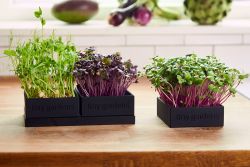Tiny Garden designsæt med 3 bakker og hampemåtter